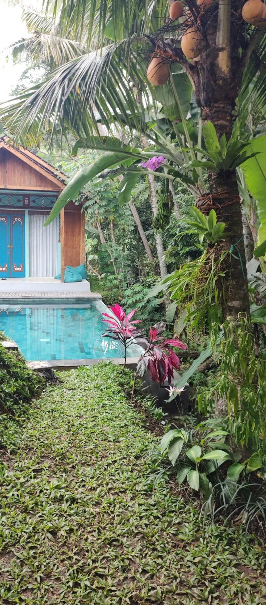 Rumah Guci Ubud Exteriör bild