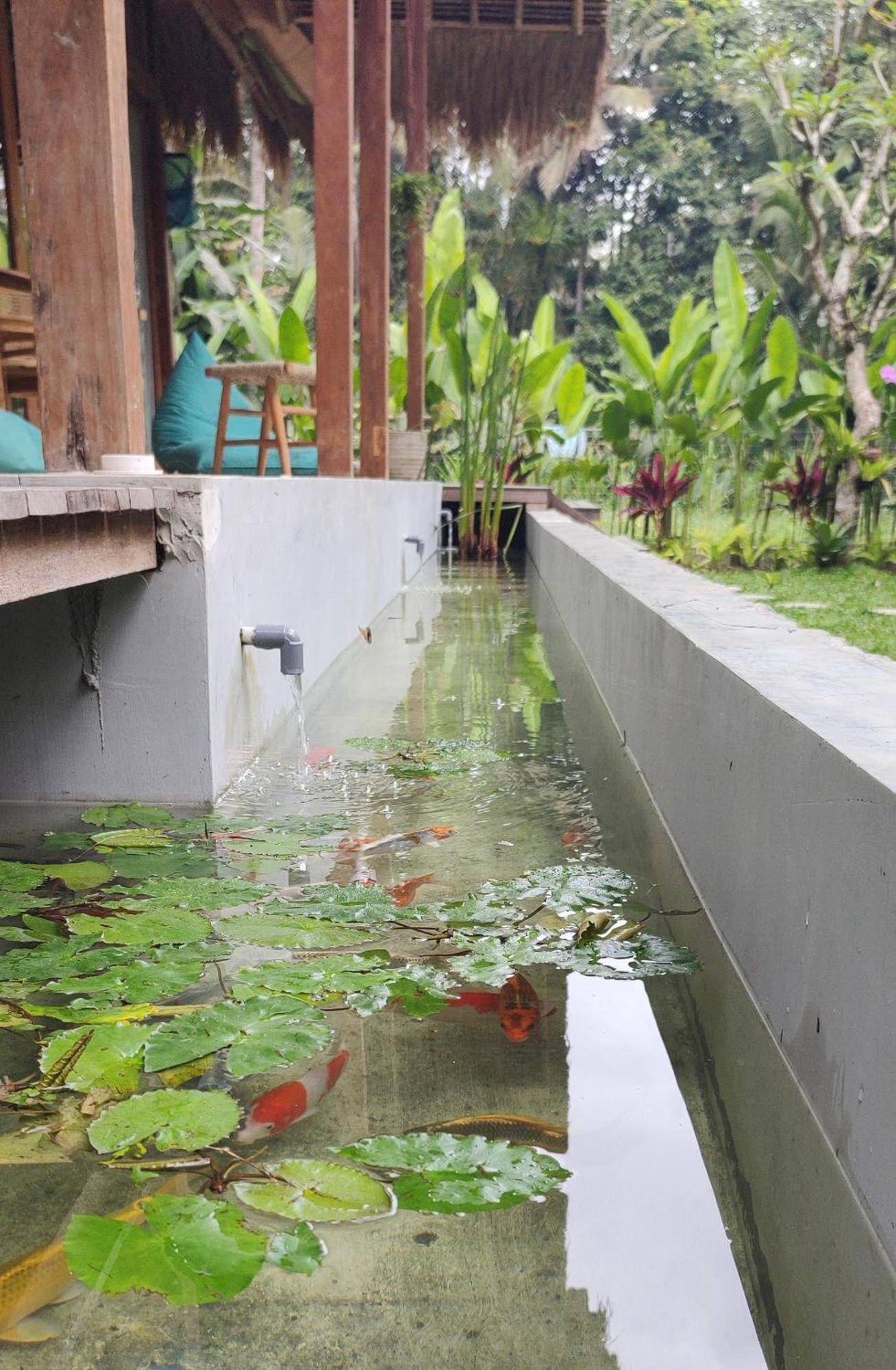 Rumah Guci Ubud Exteriör bild