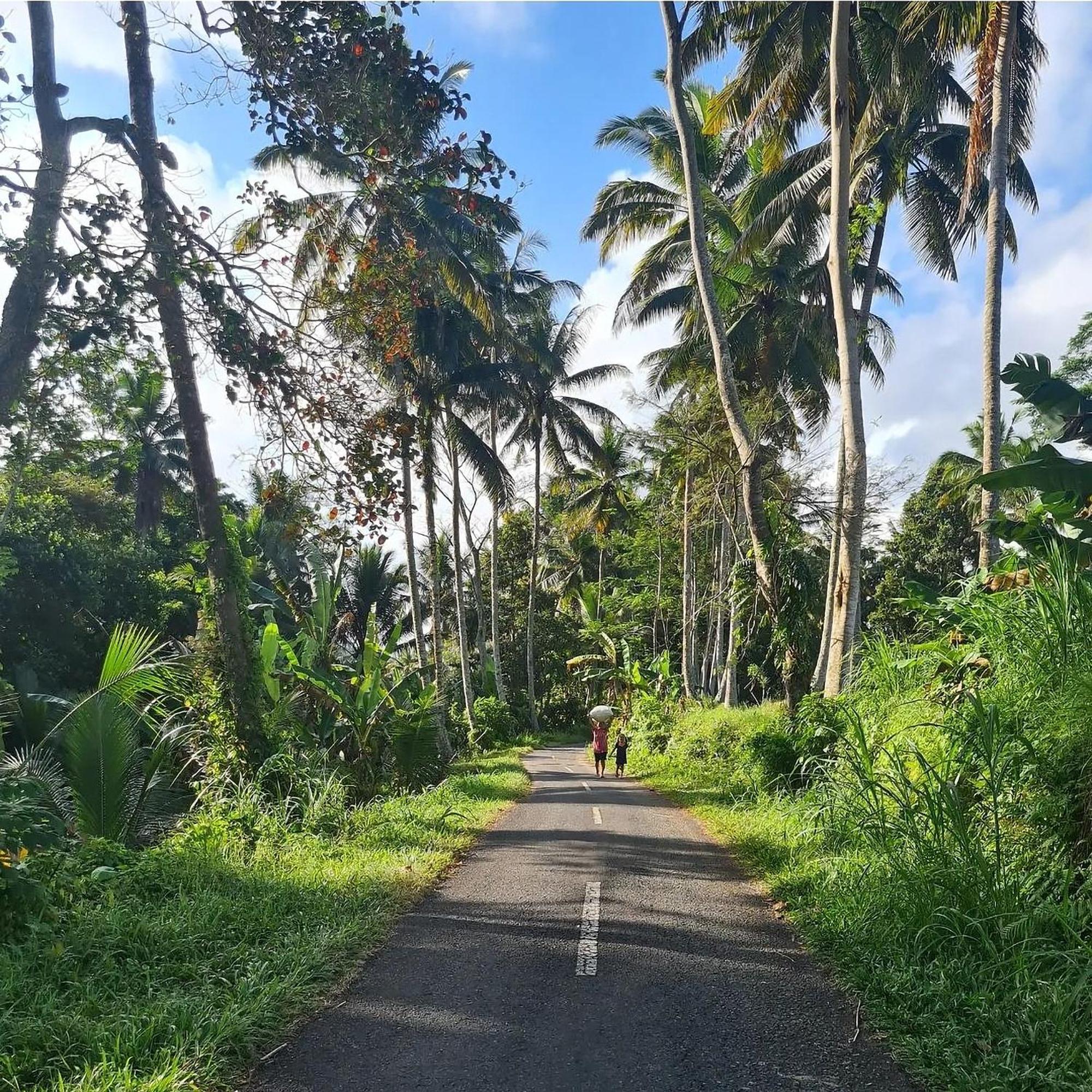 Rumah Guci Ubud Exteriör bild